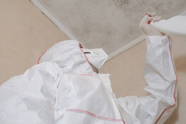 Best Home Mold Removal  in Cherry Creek, CO